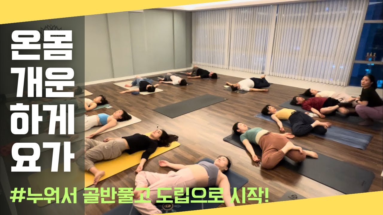 [엔젤요가] 온몸 개운한 하타요가