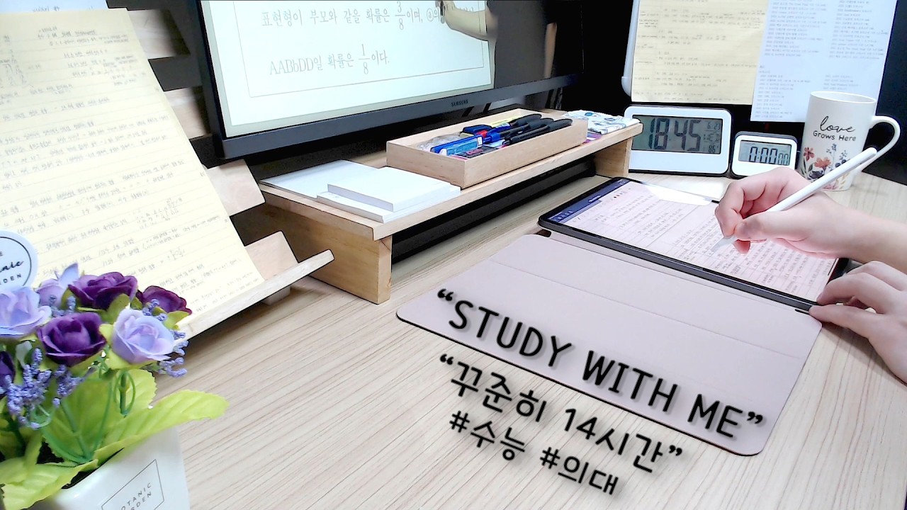 260305 D-259 '꾸준히 하루 14시간' Pt.1