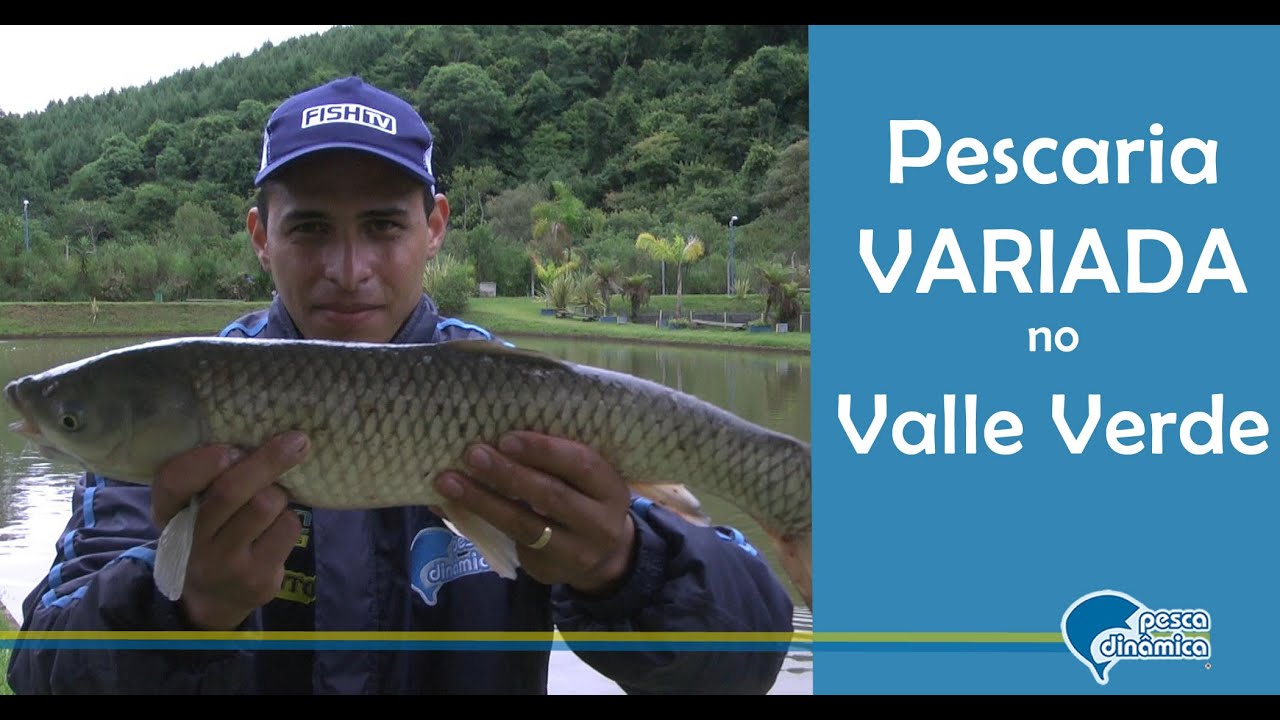 Pescaria variada no Valle Verde, em Mandirituba - PR