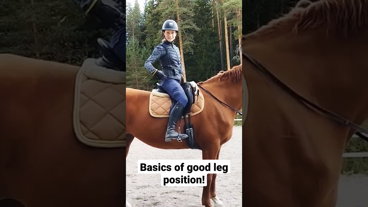 Correct leg position when horse riding (dressage seat)