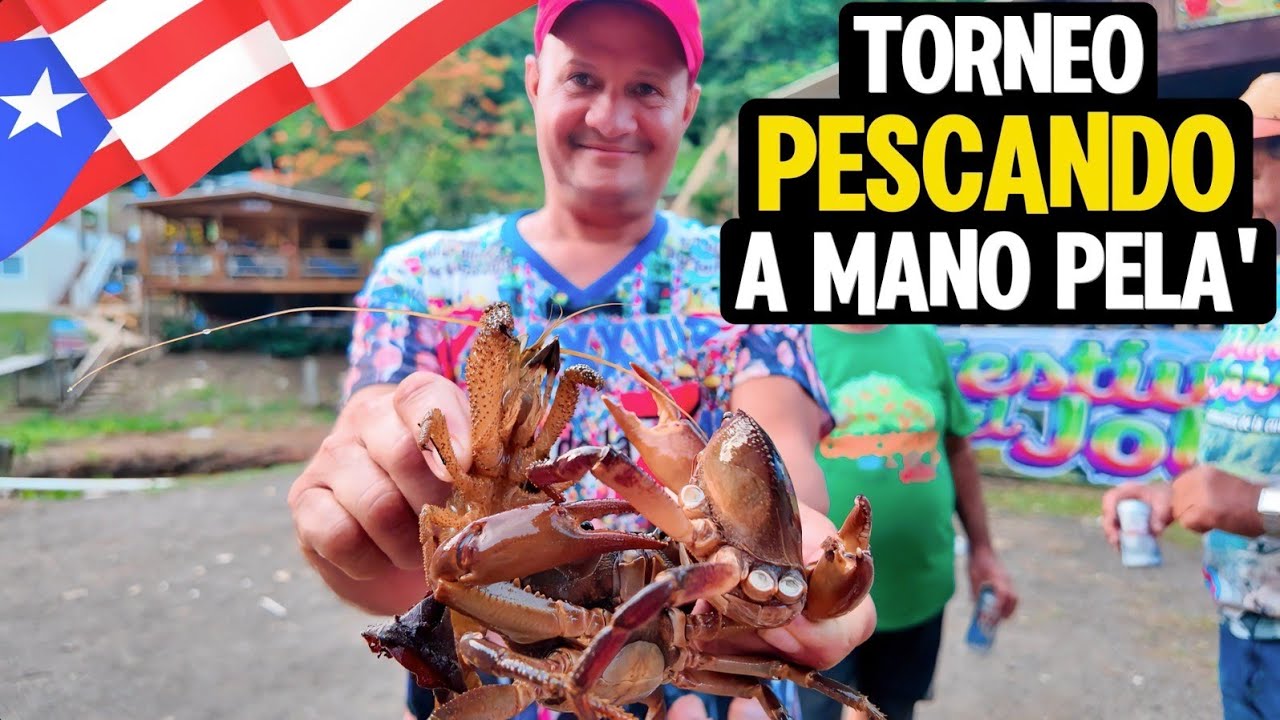 Festival El Jobo | CAPÍTULO 4🇵🇷