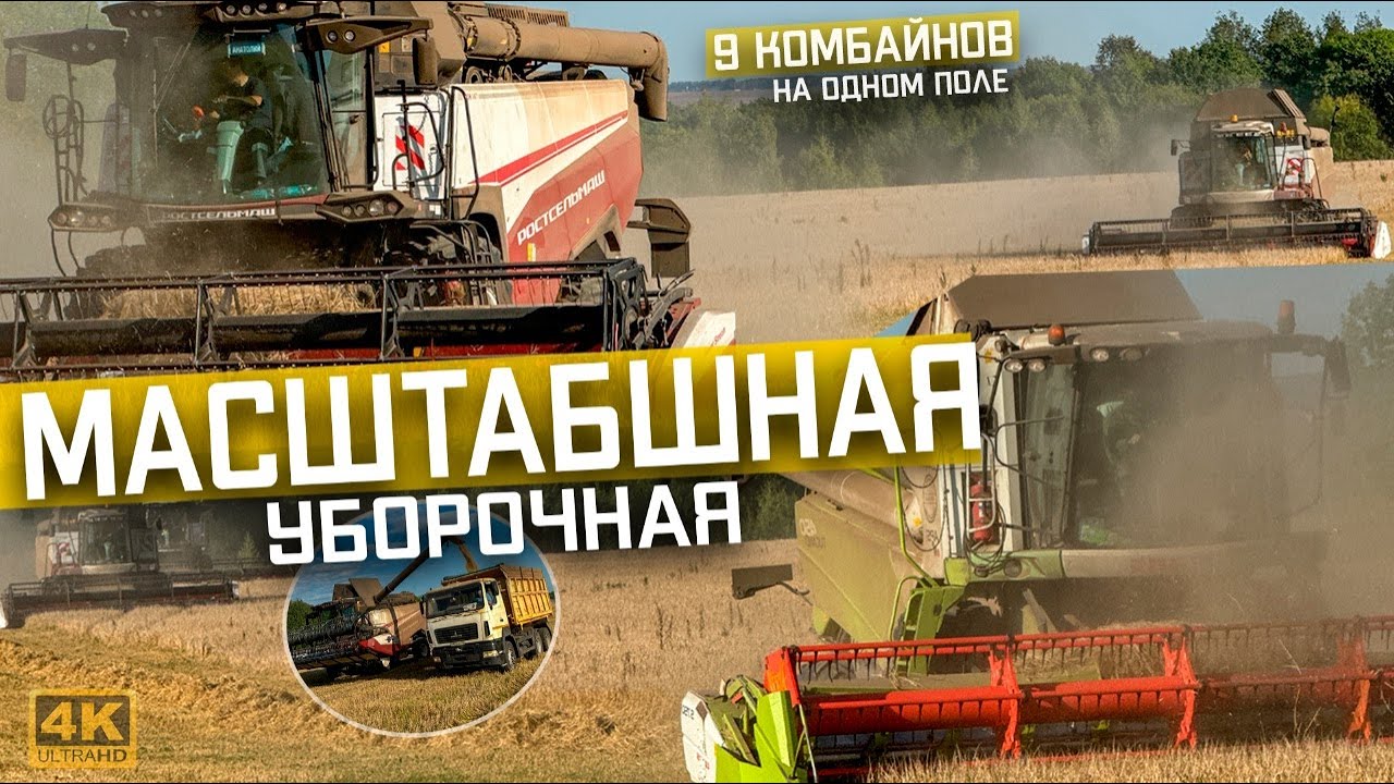 УБОРКА 2024! ВОСЕМЬ комбайнов РСМ 161 и Claas Tucano 450! Уборочная ОЗИМОГО ячменя - МАСШТАБЫ!
