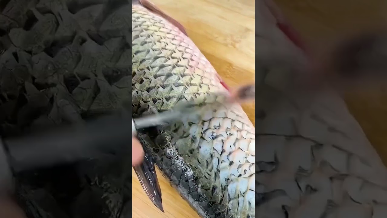 This multi-functional fish maw knife can not only open fish maw but also scrape fish scales