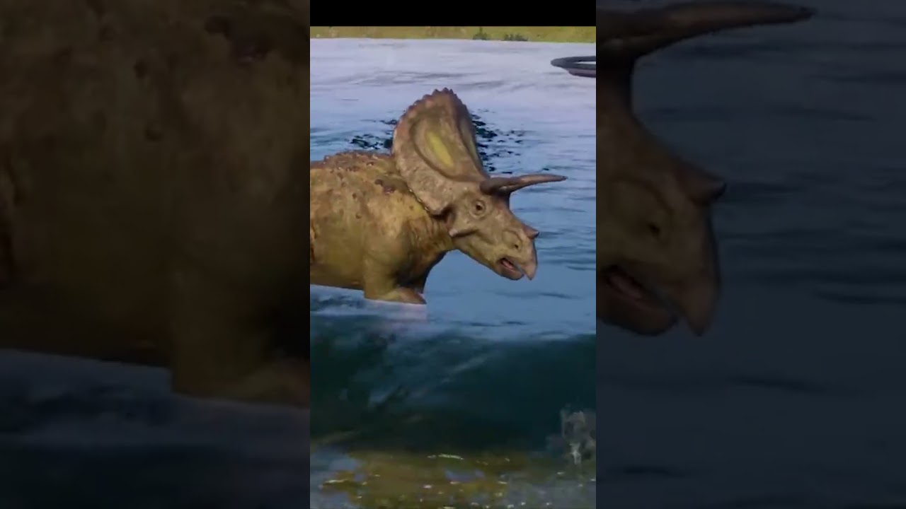 dinosaurus torosaurus