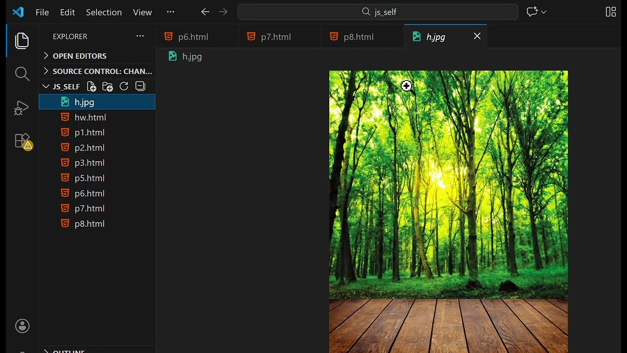 HTML Magic 🔥 Image Show Without IMG Tag & CSS