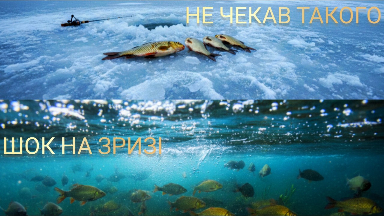 Ранок на кризі: холодно, але варто було їхати