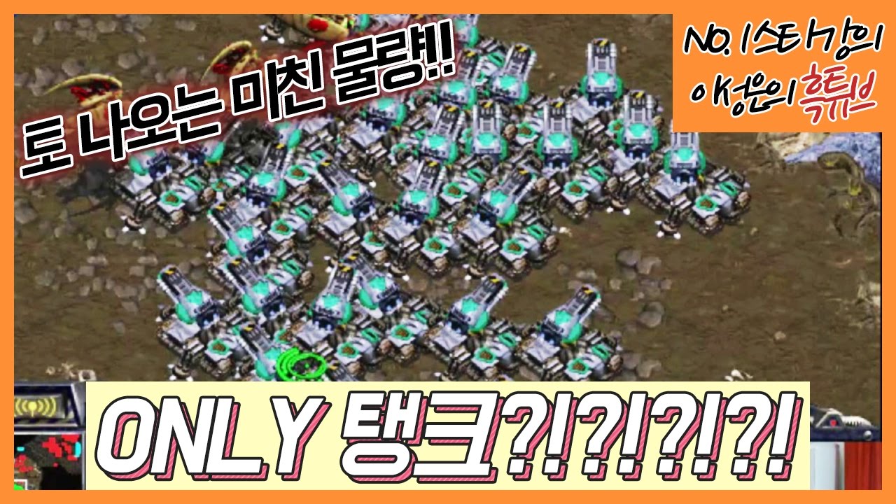 🙀토스전에서 ONLY 탱크를 시전하는 ㅁㅊ흑운장!!! 이거 가능한거냐??ㅋㅋㅋ