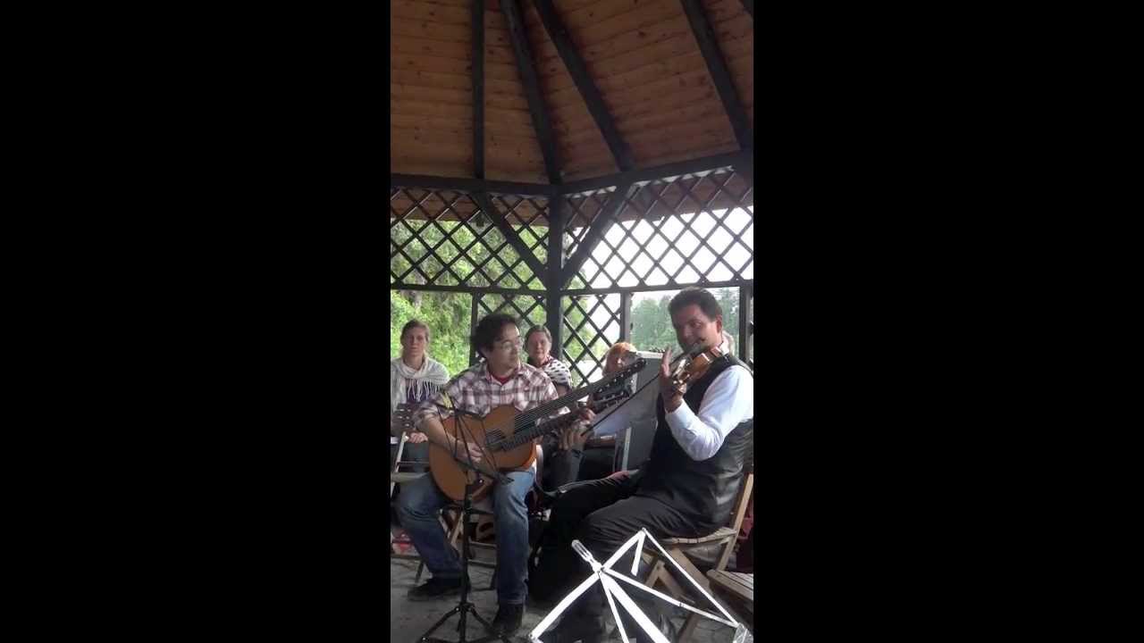 Schrammel Klang Festival 2013 Seminarteilnehmer 1