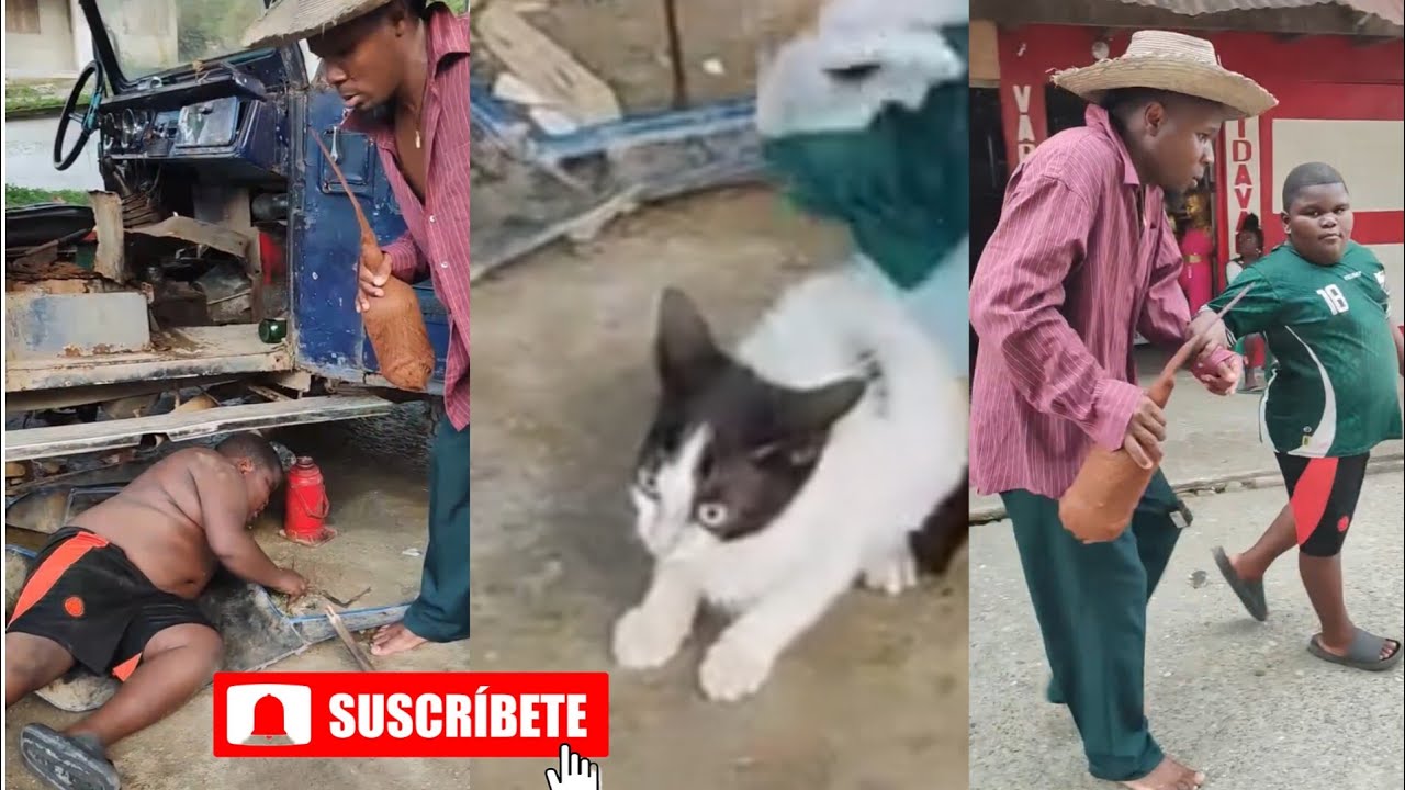 PORKIN ES MECÁNICO videos graciosos #viralvideo #humor #funny 