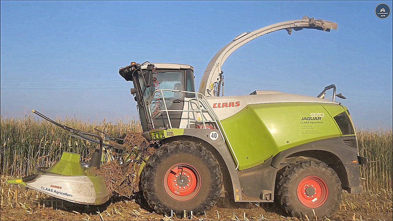 Claas Jaguar 970 (502) & 3 NH T7 - BERTONI - Insilato mais 2023