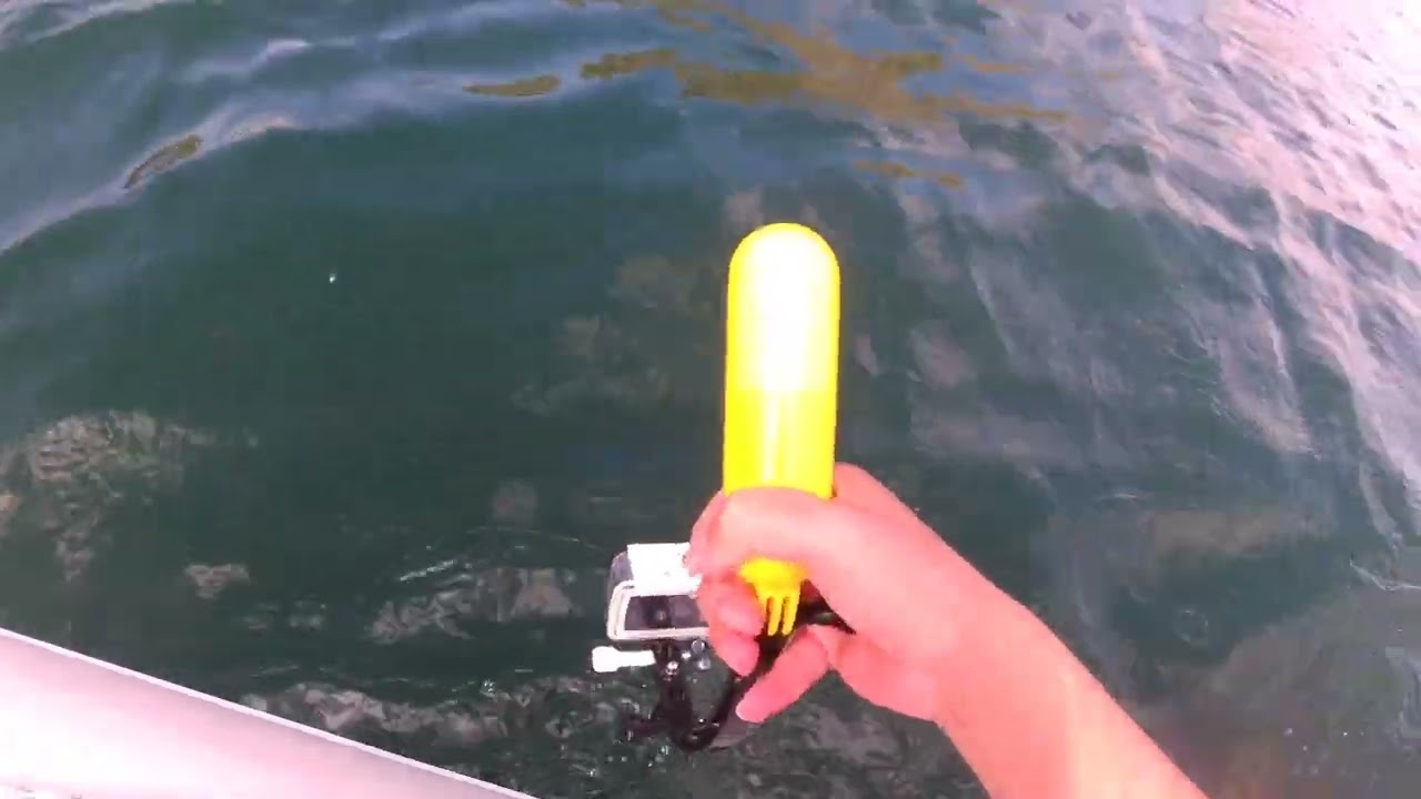 Return of pike to water 🎣 (75cm) Turna balığı suya iade ~ Boats Garage T&uuml;rkiye ~