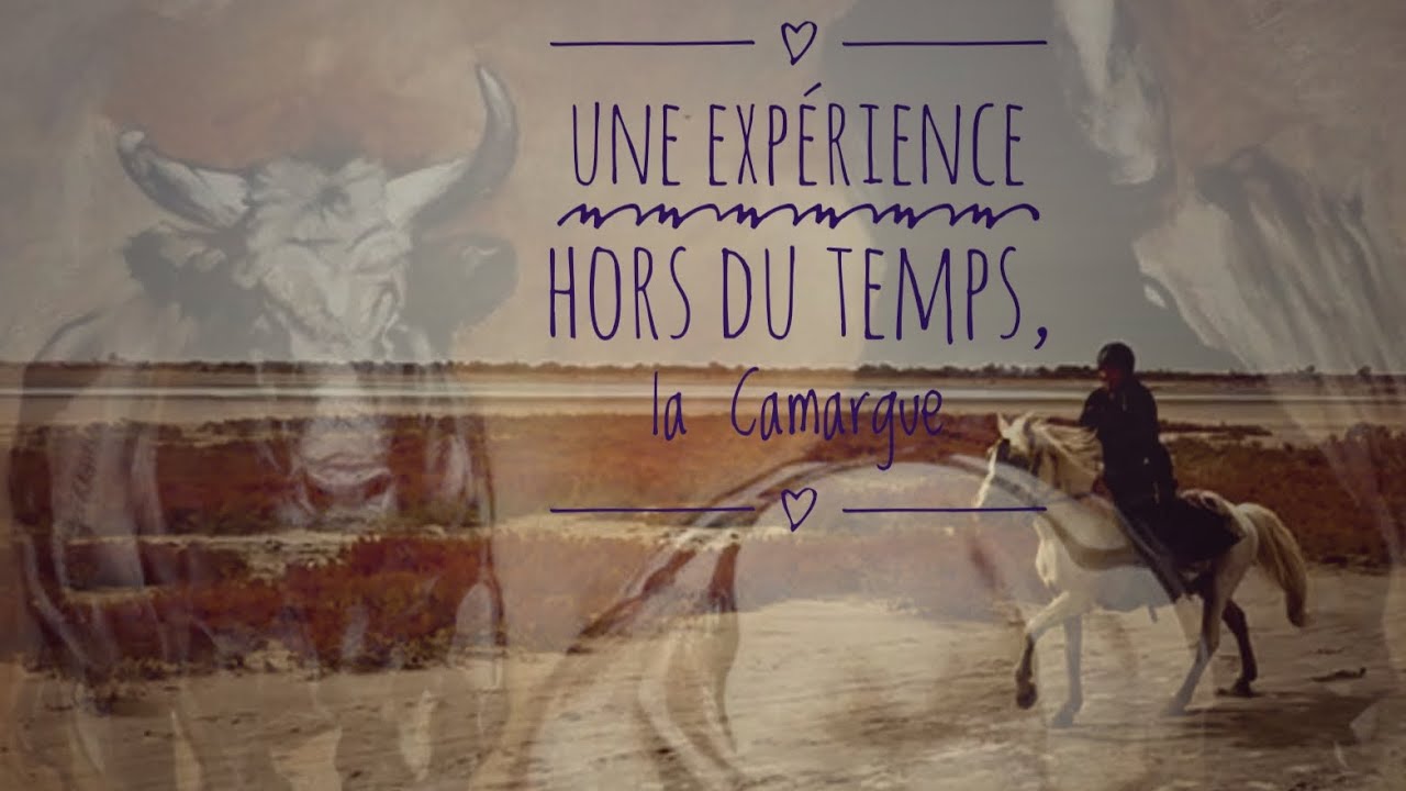Randonnée à cheval en Camargue