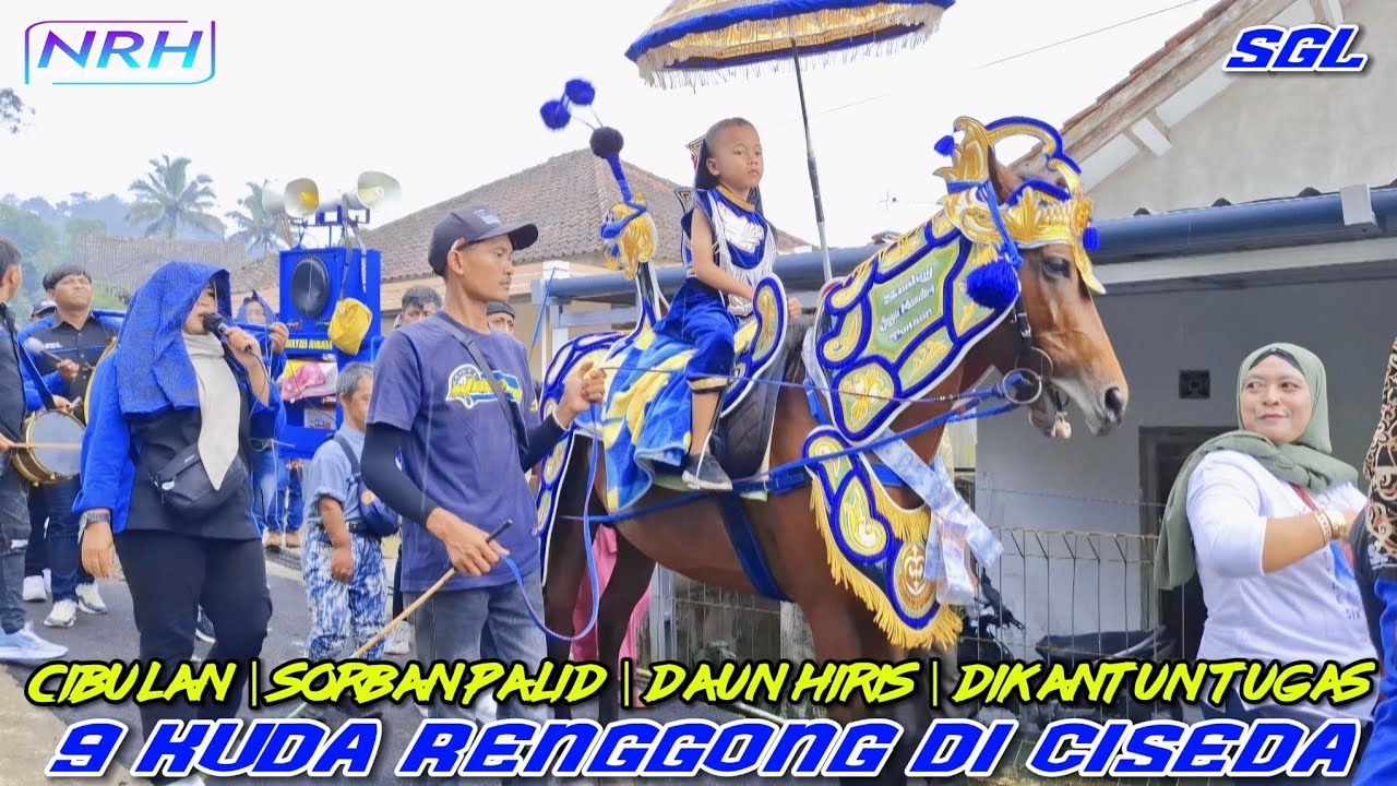 PERANG BINTANG‼️ Sanboy, Bintang, Morena dkk feat SGL - Cibulan Daun Hiris Dikantun Tugas CISEDA