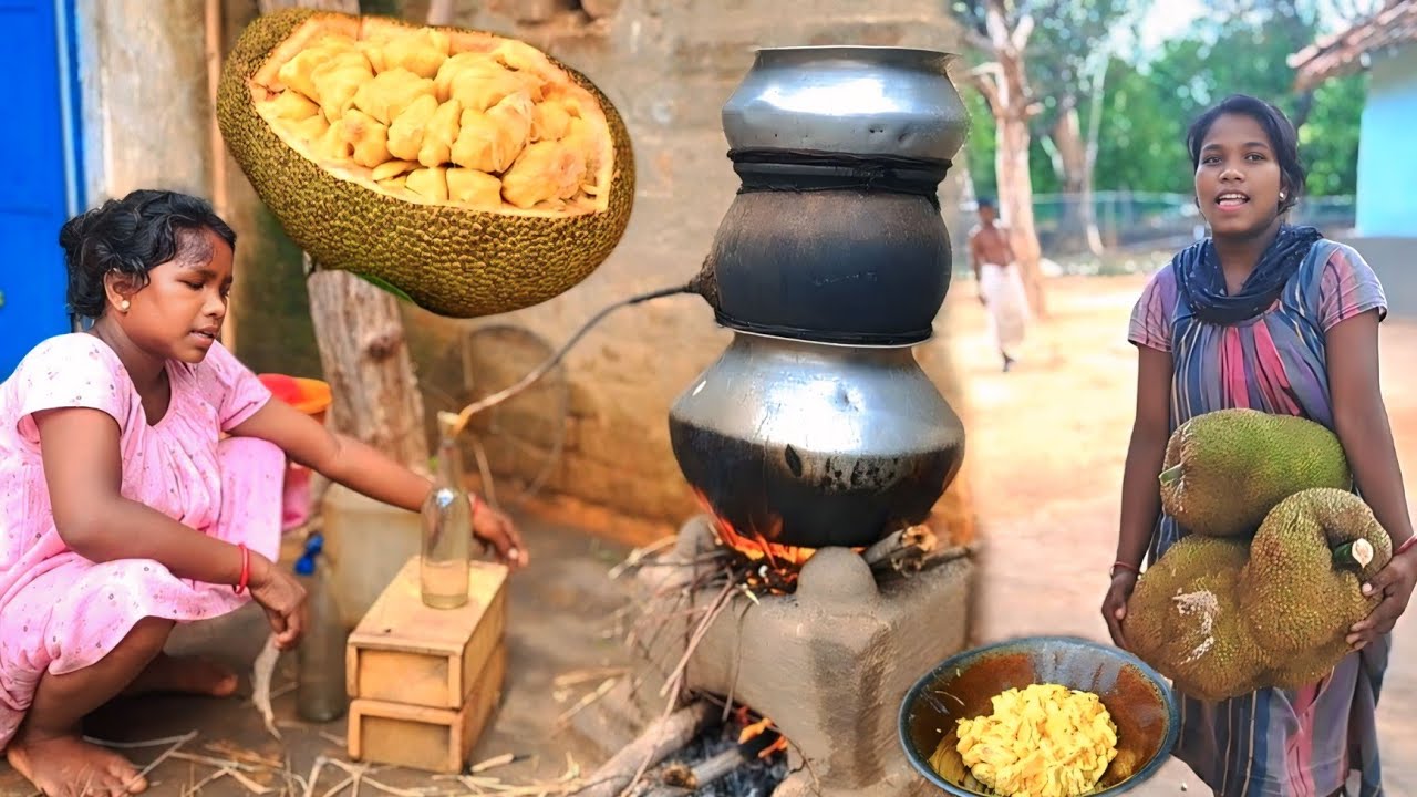 Jackfruit Wine Making and Drinking // Village Girl Wine making // Desi Daru making // Kathal ka daru