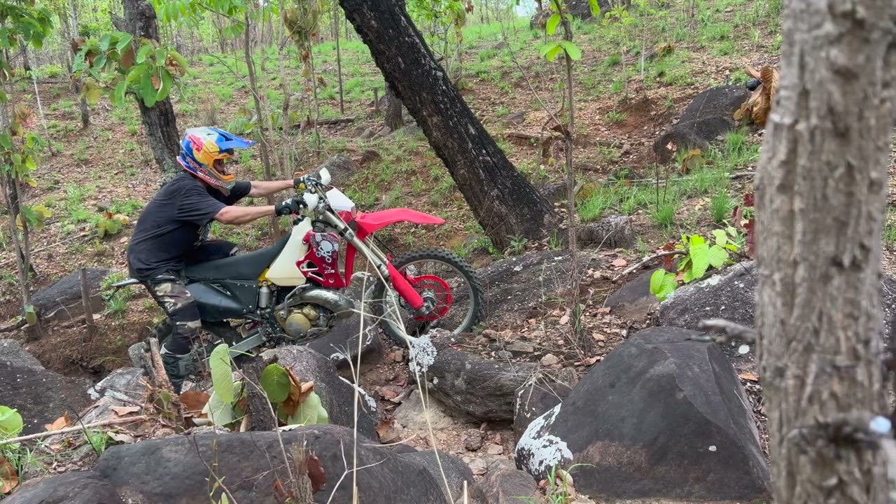 Backyard Free Ride Remix.