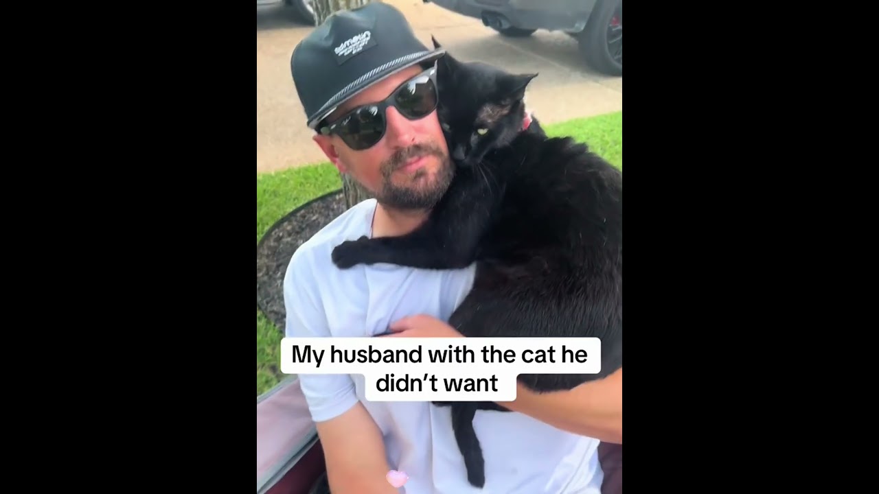 Your cat is in love with your boyfriend 🥰🥰❤️❤️🐈🐈#foryou  #usaus #cute #love #kitten #catlove