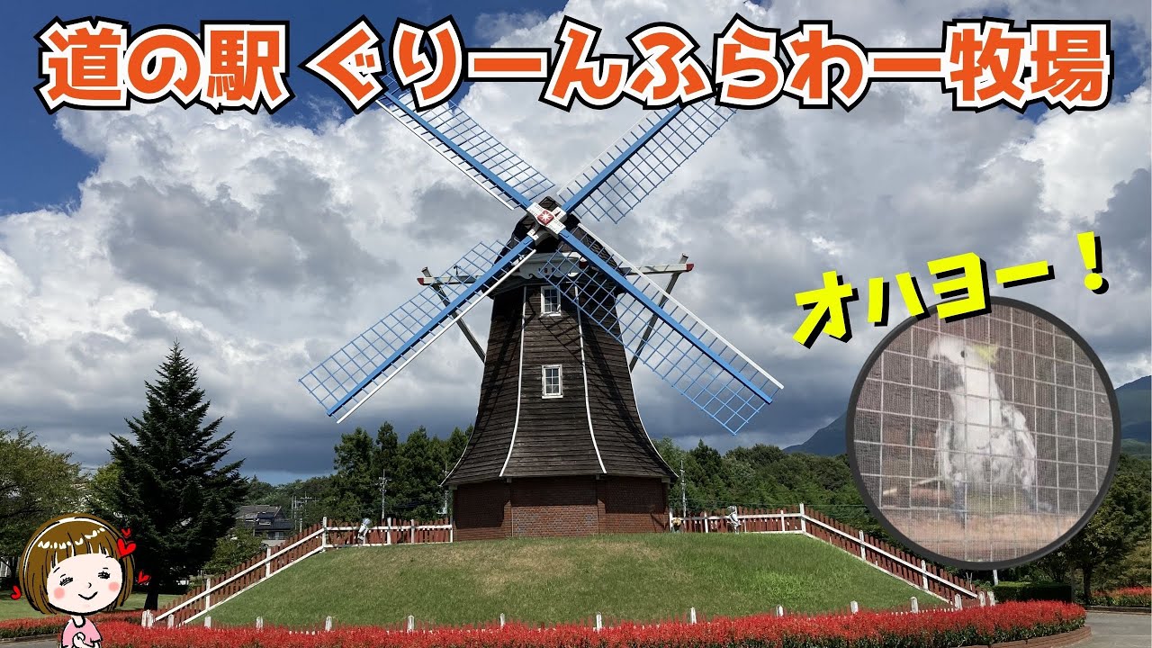 しゃべる鳥キバタンに会える！【道の駅ぐりーんふらわー牧場・大胡】（群馬県前橋市）