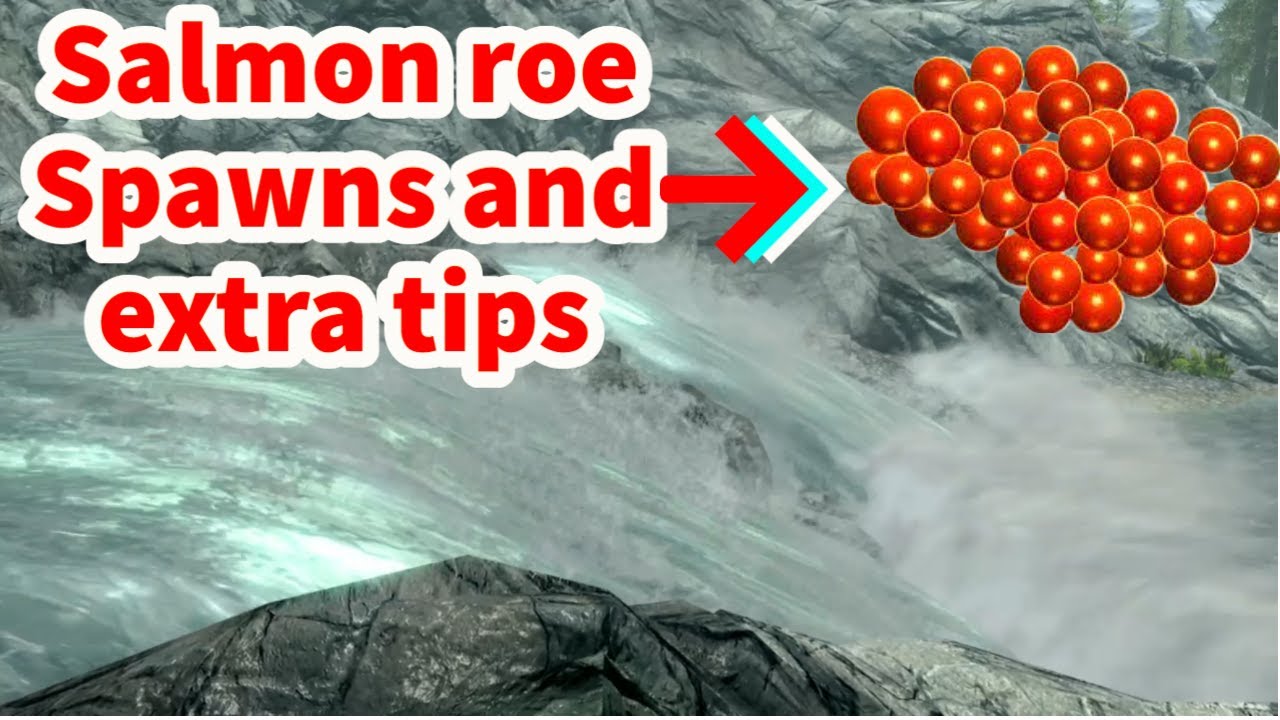 Salmon Roe Spawn locations and alchemy tips [Skyrim Guide]