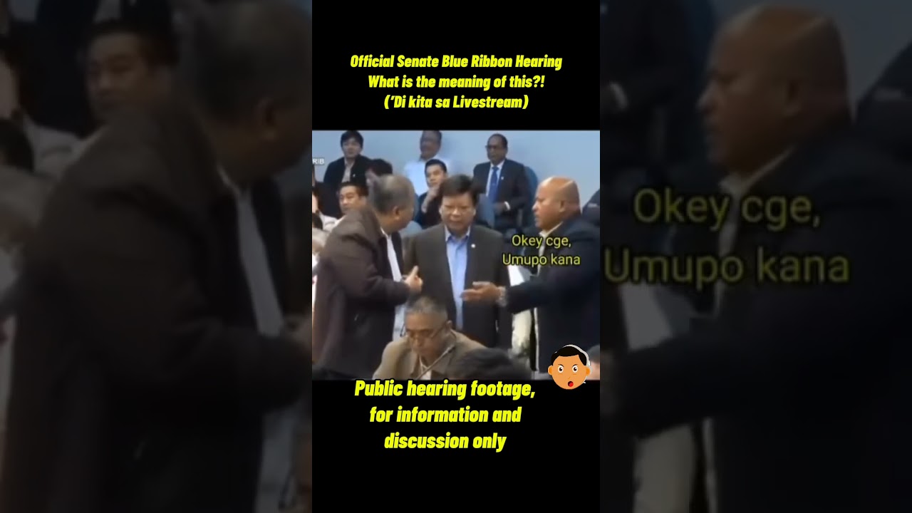 Actual footage from the Senate Blue Ribbon Hearing. For public information. 