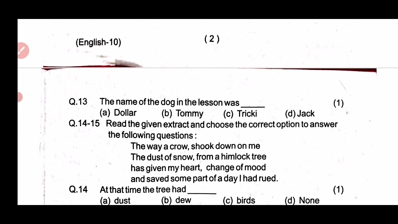 10 English Saraswati Vidya Mandir Half yearly exam 2024 2025