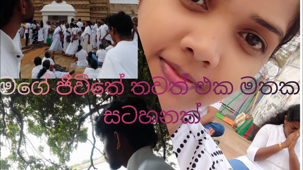 හදිස්සියේම ගිය ගමන. 🍃🌸🚚 අහම්බෙන් දැකපු ඒ දසුන.. 🙏🙏🙏🇱🇰