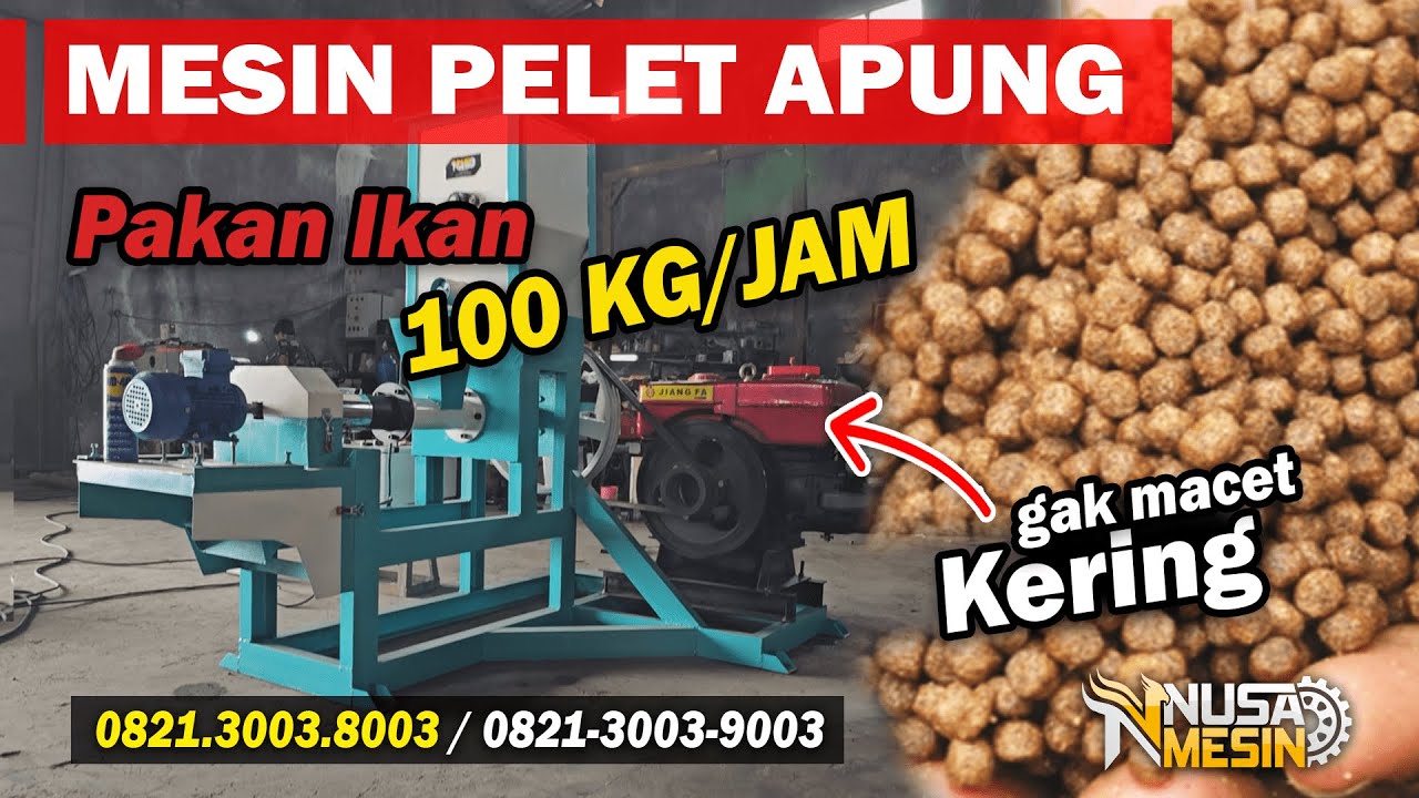 MESIN CETAK PELET APUNG KAPASITAS 100KG - Membuat 1 TON Per Hari - MESIN PELET IKAN APUNG & KERING