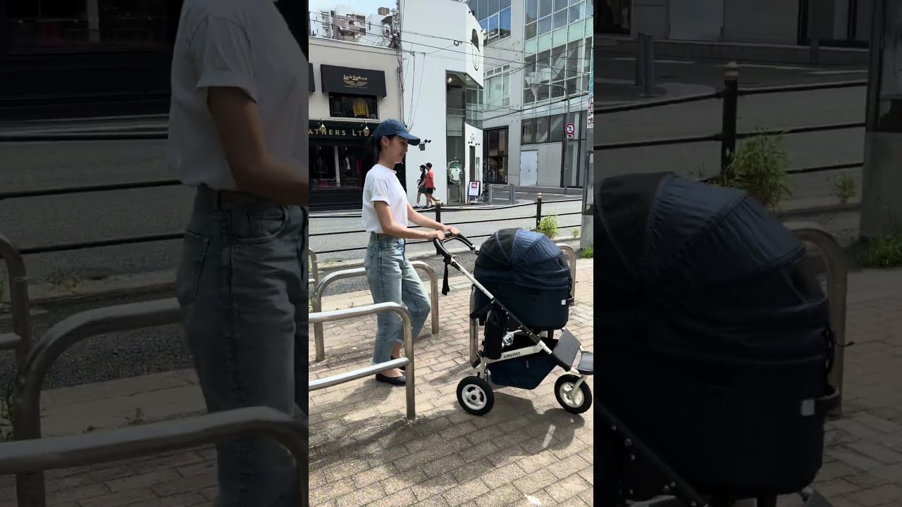 Airbuggy Pet