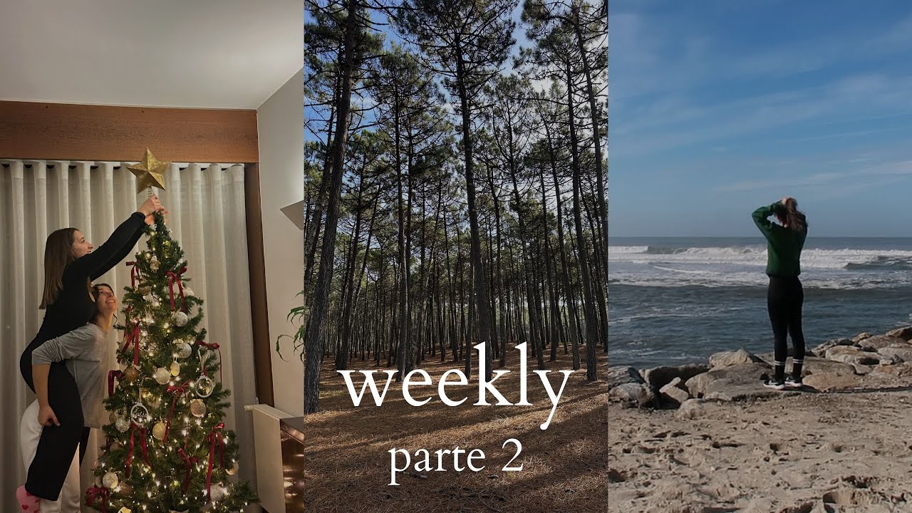 Quero um anel, passeio na praia e fizemos a Árvore de Natal | vlog