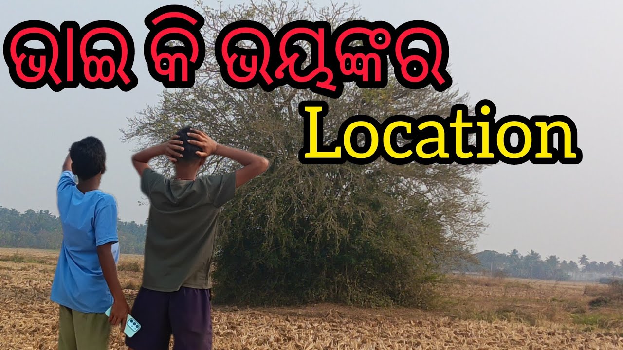 ବିଲ ମଝିରେ ଟାପୁ ବାଗିଆ ଦେଖିବାକୁ ଗେଟେ ଜାଗା ସେ ଜାଗାର ନାମ ଟିଙ୍କ ଗାଡିଆ #024