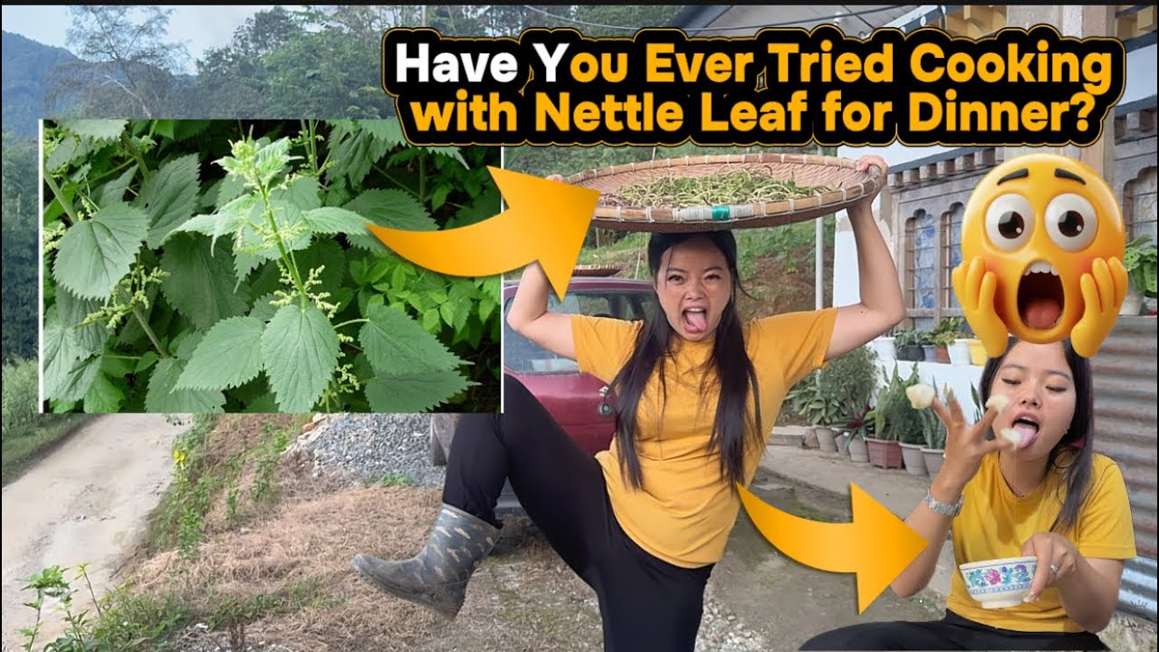 Have You Ever Tried Cooking Nettle Leaf dhal for a Meal / benefit of nettle leaf #foryou #viral 