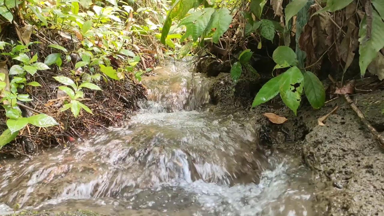 Healing River Ambience – Calm River Sounds with White Noise for Stress Relief