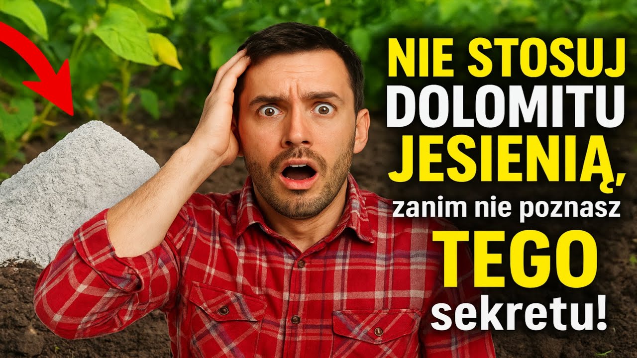 NIE STOSUJ DOLOMITU JESIENIĄ, zanim nie poznasz TEGO sekretu! 🤫 Cała prawda o wapnowaniu i odkwasz