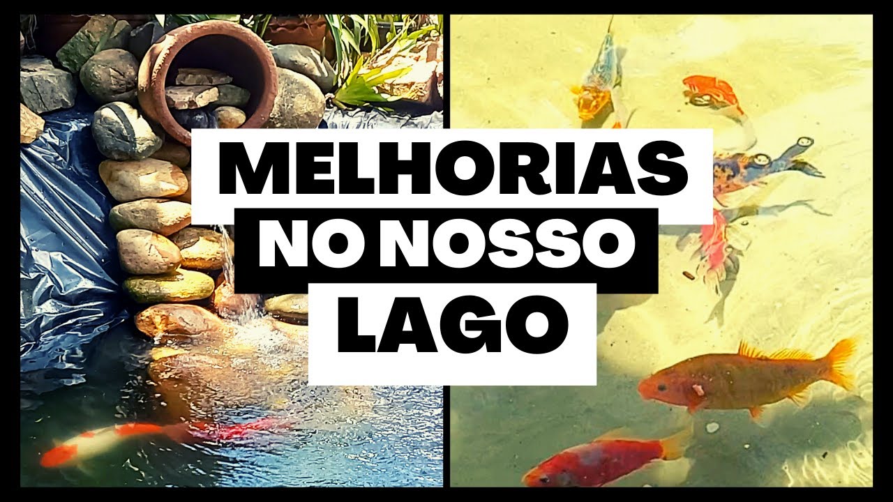 LAGO ORNAMENTAL / SEM FILTRO UV E OZÔNIO/ MUDANDO A ESTÉTICA  DO LAGO