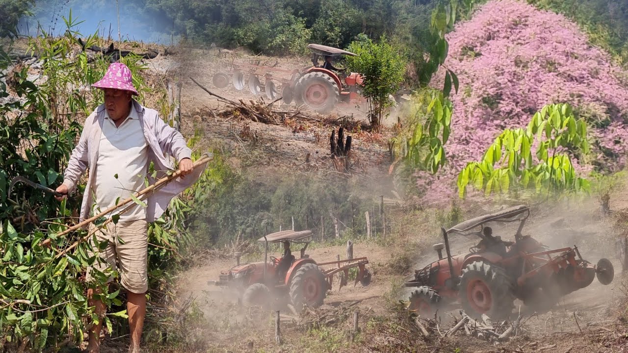 11 กุมภาพันธ์ ค.ศ. 2026