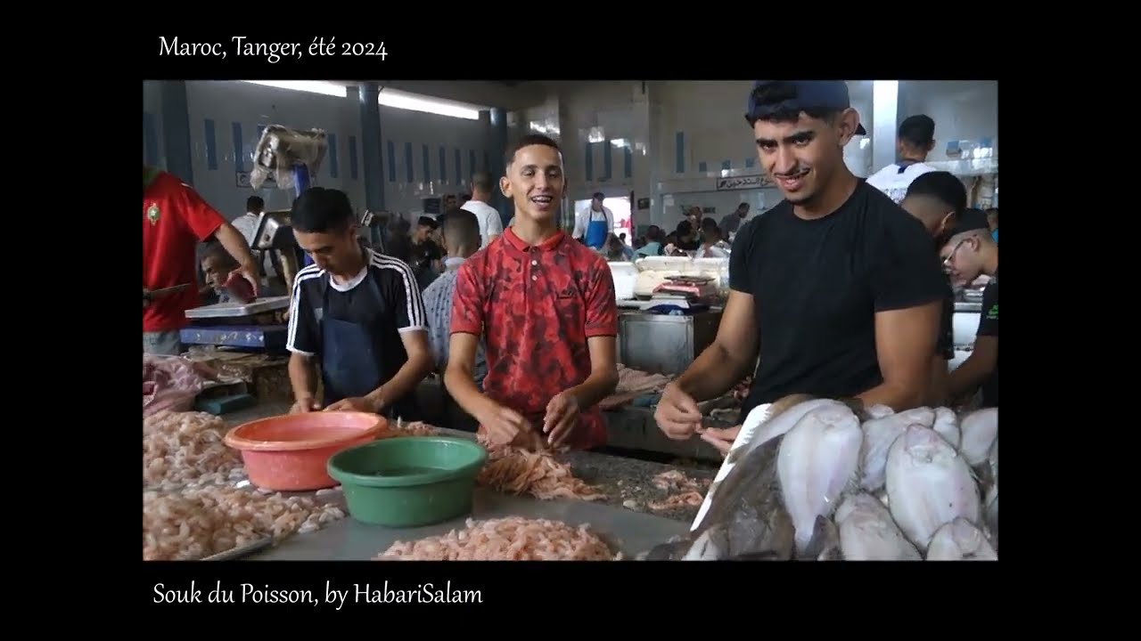 TANGER SOUK du POISSON, Maroc, Marché Central, Tangier Fish Souk Market, Morocco, Summer 2024 +