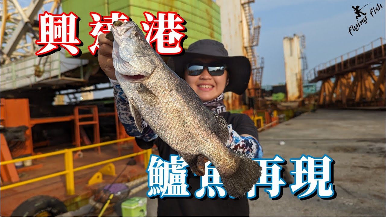 興達港追了好幾次的鱸魚終於到手， 雖然體型不到巨大， 但在野場拉的感覺特別不一樣🤩.台湾の女性釣り Taiwan girl fishing 대만 여성 낚시