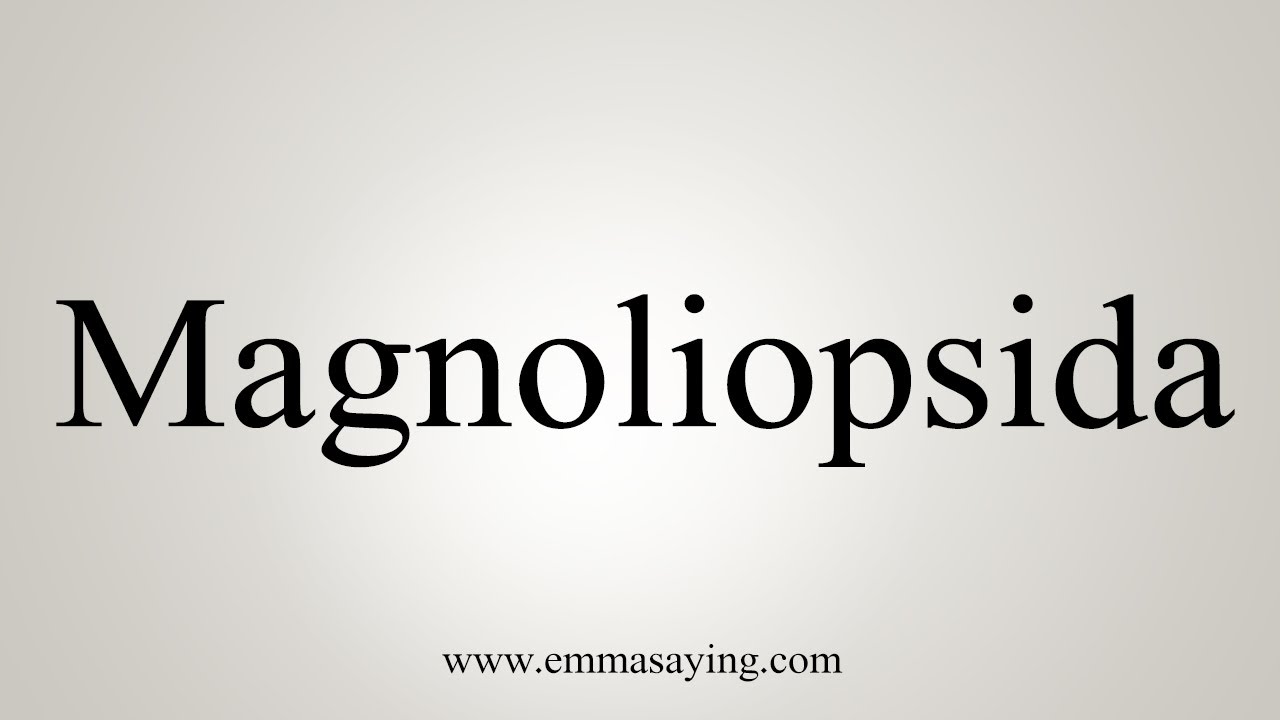 How To Say Magnoliopsida