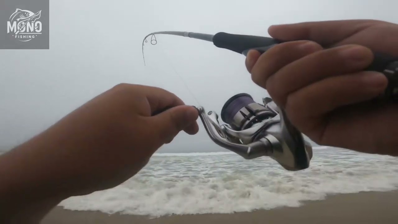 Pesca de corvina en playa Tunquen V region