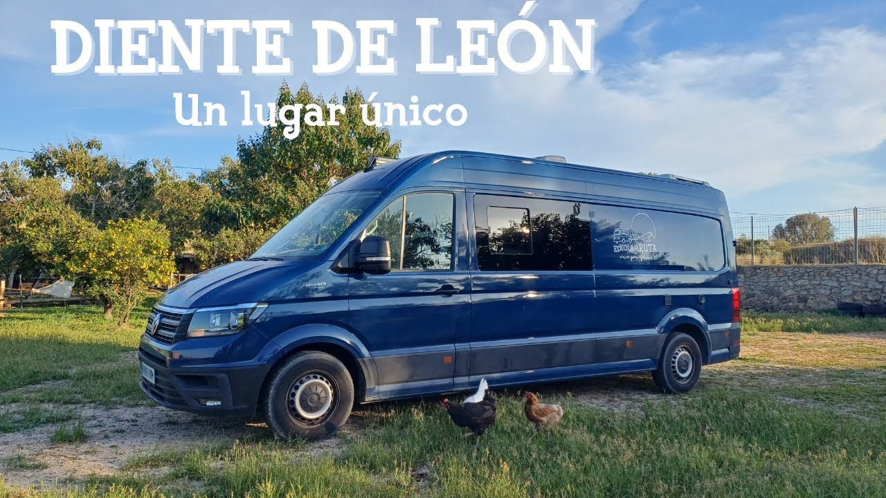 DIENTE DE LEÓN| Este capítulo nos hizo parar DANA 2/2 | Eskola en Ruta Cap.7
