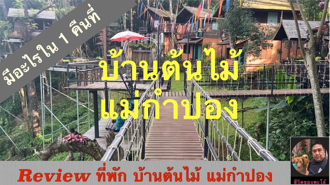 ที่พักบ้านแม่กำปอง บ้านต้นไม้  |พะโล้ท่องเที่ยว Ep.21  #ชีวิตของพะโล้ #Life_of_Palo