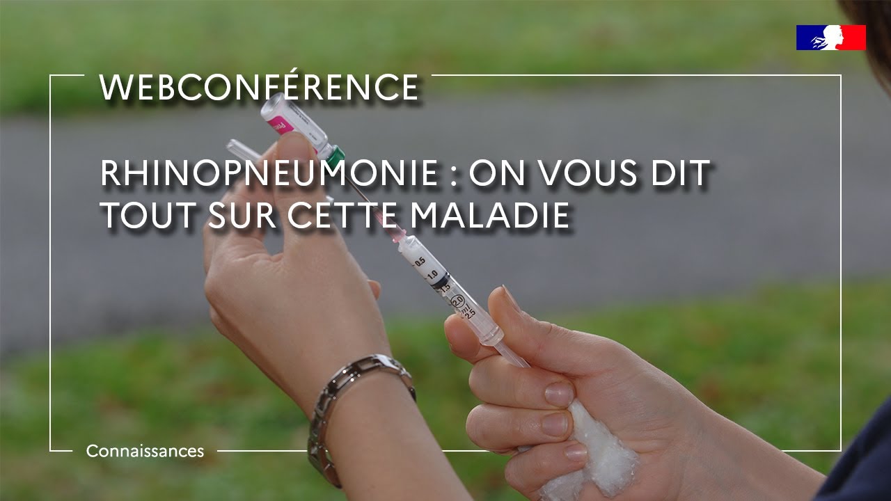 Rhinopneumonie : on vous dit tout sur cette maladie - Stéphane Pronost