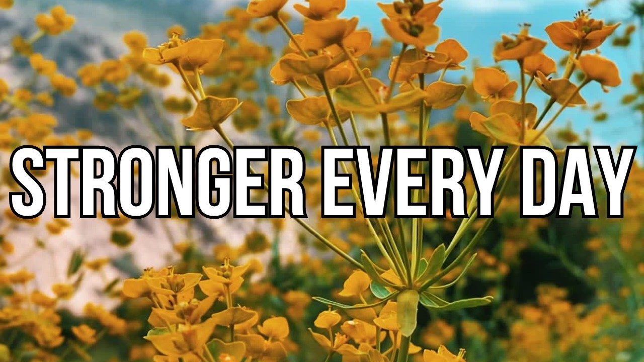 💐 Stronger Every Day 💐 | Motivational Song With Lyrics | English Song | Music | Dream Fuel