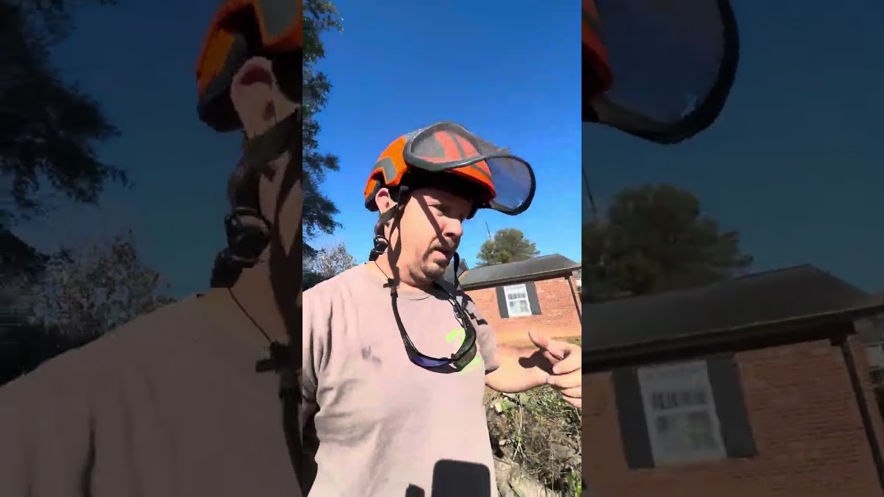 Brush bandit 21xp eats 3 large oaks in under 7 hours!