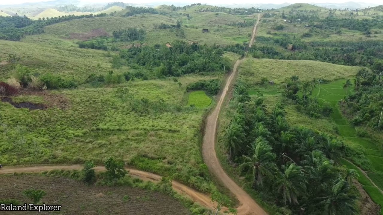 Affordable FarmLand | 14.1 Hectares | Titled | San Miguel Bohol | Price 49 pesos per sqm