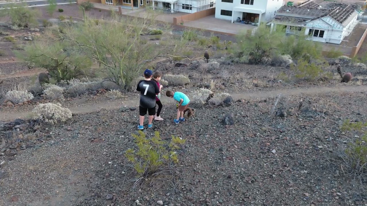 New Heights