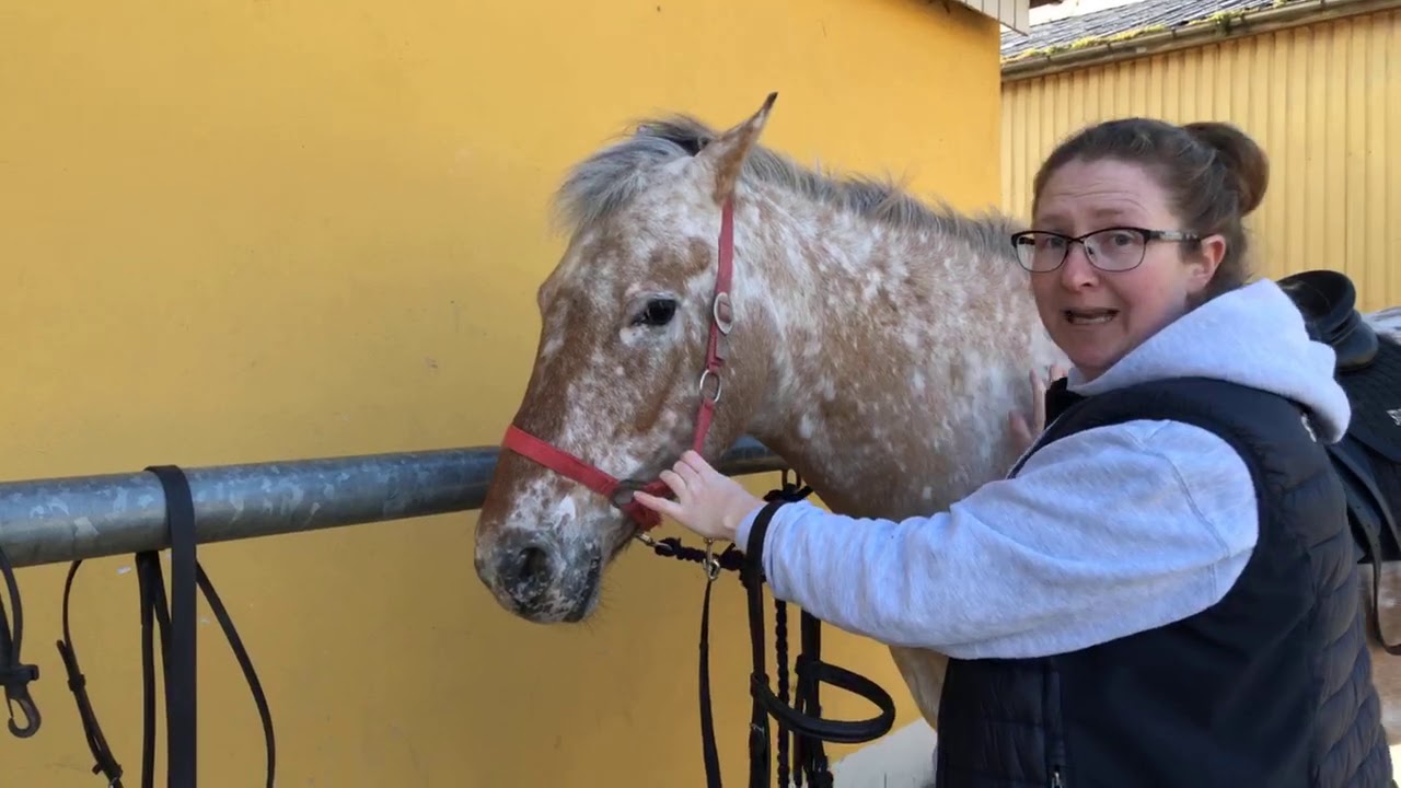 Gennemgang af udstyret og hvordan det sættes på