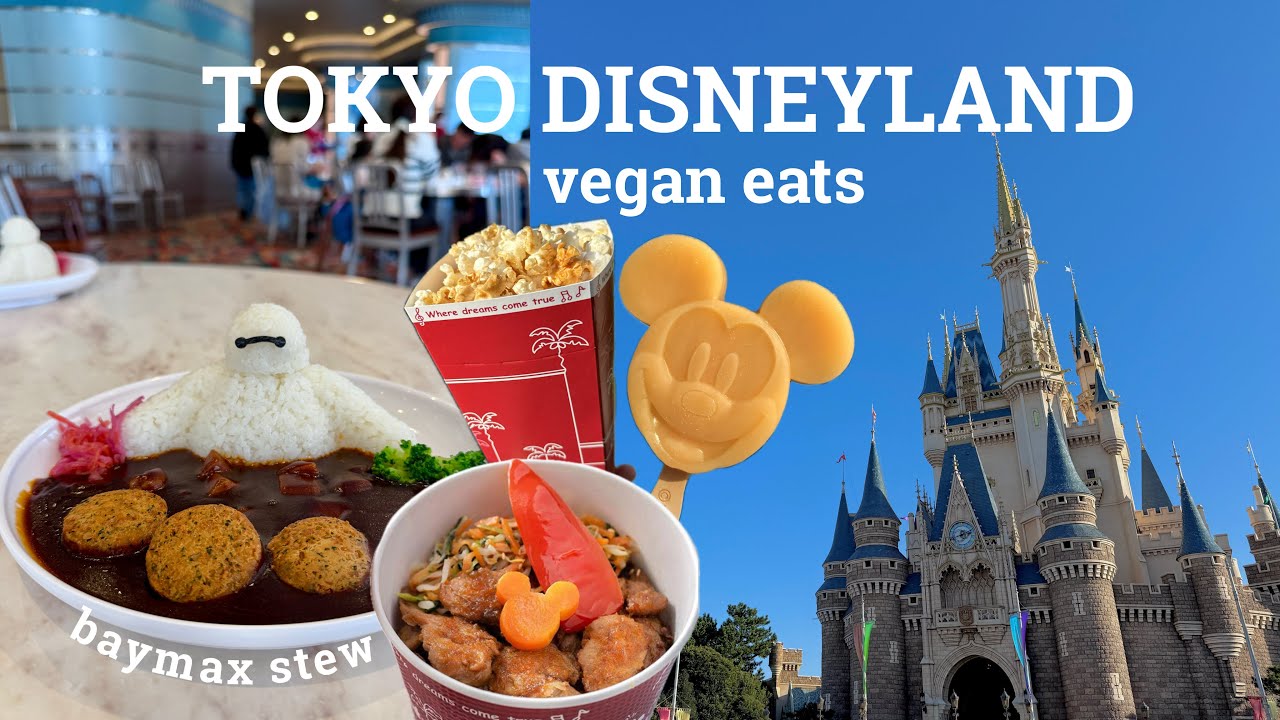 Tokyo Disneyland Vlog 🇯🇵🏰🌱 vegan food and what to expect | Tokyo Vlog - Pt 7