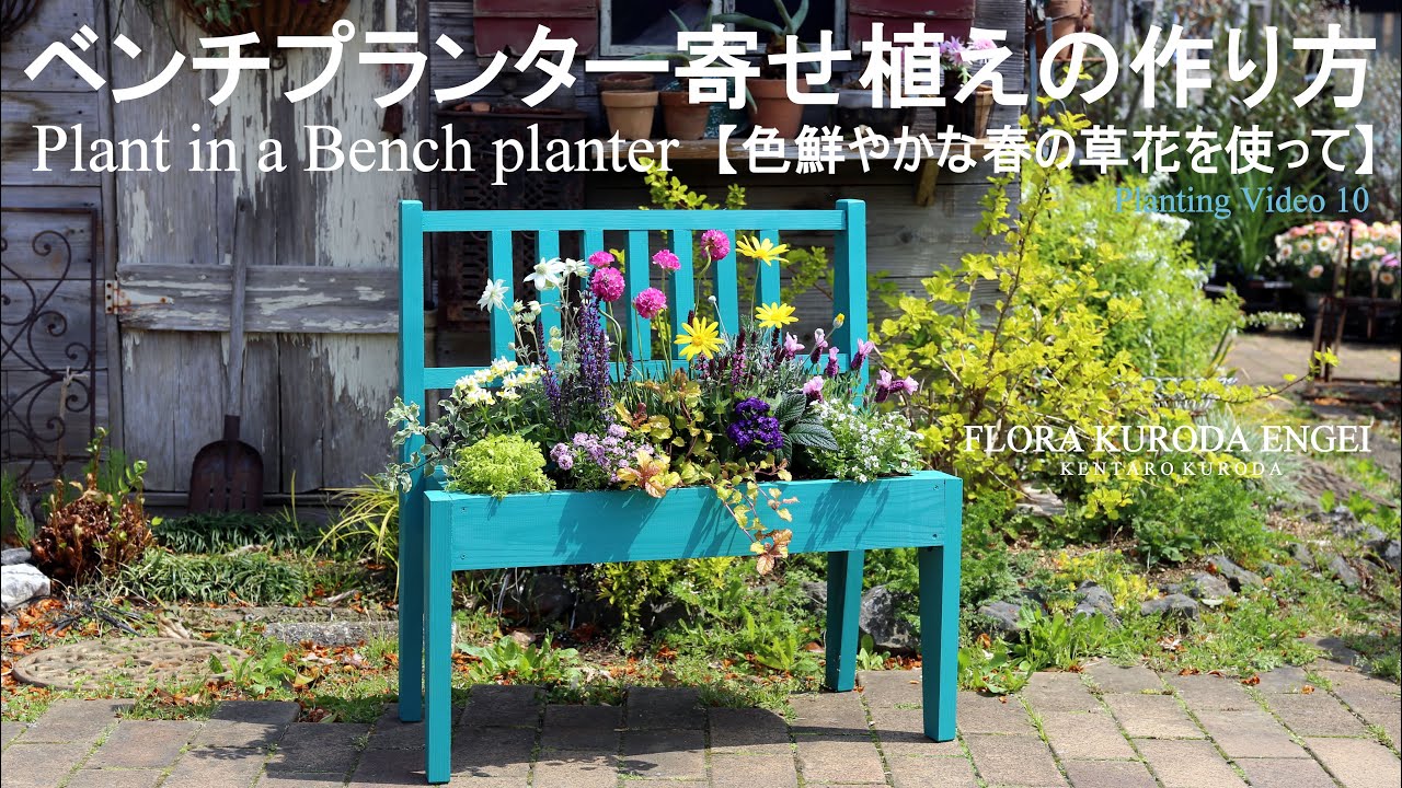 ベンチプランター寄せ植えの作り方【色鮮やかな春の草花を使って】春のガーデニング-フローラ黒田園芸-＊字幕をONにしてご覧いただくと、解説が入ります。4K ULTRA HD