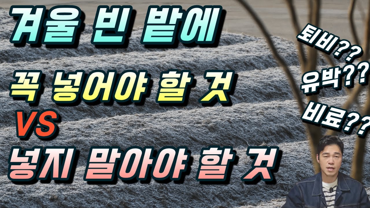 겨울 밭관리. 지금 안하면 봄농사 망칩니다.