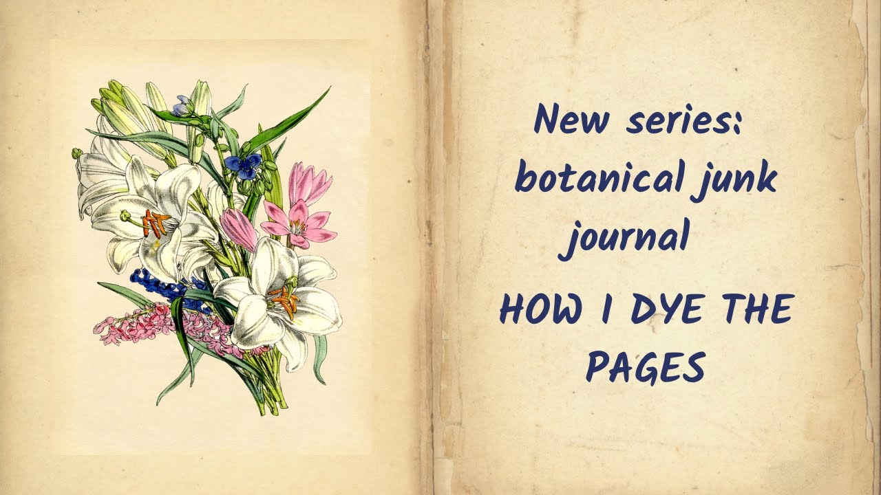 How I coffee dye the papers for my next botanical junk journal, step by step tutorial